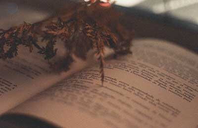 輕扣詩歌大門活動總結