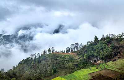 美好鄉(xiāng)村產(chǎn)業(yè)規(guī)劃