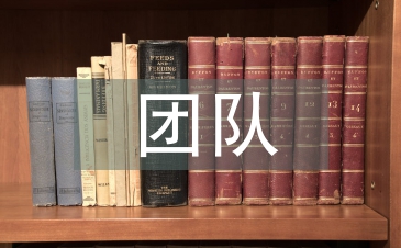 團隊執行力心得體會