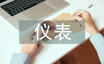 儀表試用期總結(jié)