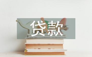 貸款公司工作總結