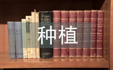 花生的種植管理