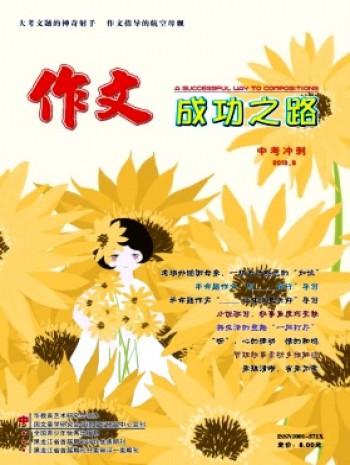 作文成功之路·中考沖刺